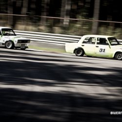 dzintara volga-4954